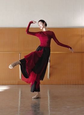 古典舞纱衣中国舞服装身韵形体服显瘦舞蹈上衣女民族舞练功服