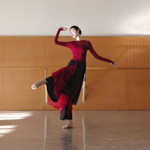 古典舞纱衣中国舞服装身韵形体服显瘦舞蹈上衣女民族舞练功服