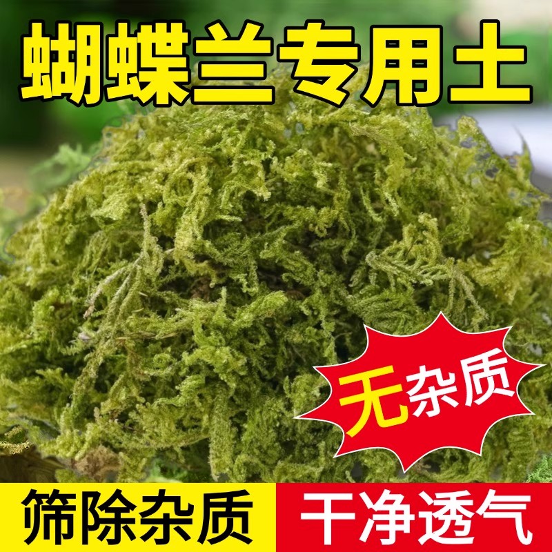 青苔水苔蝴蝶兰专用土天然干苔藓兰花营养土石斛兰植料盆栽种植土