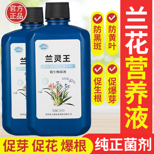 兰灵王兰花专用肥料营养液黄叶烂根黑斑病微生物菌科杀菌药活化剂