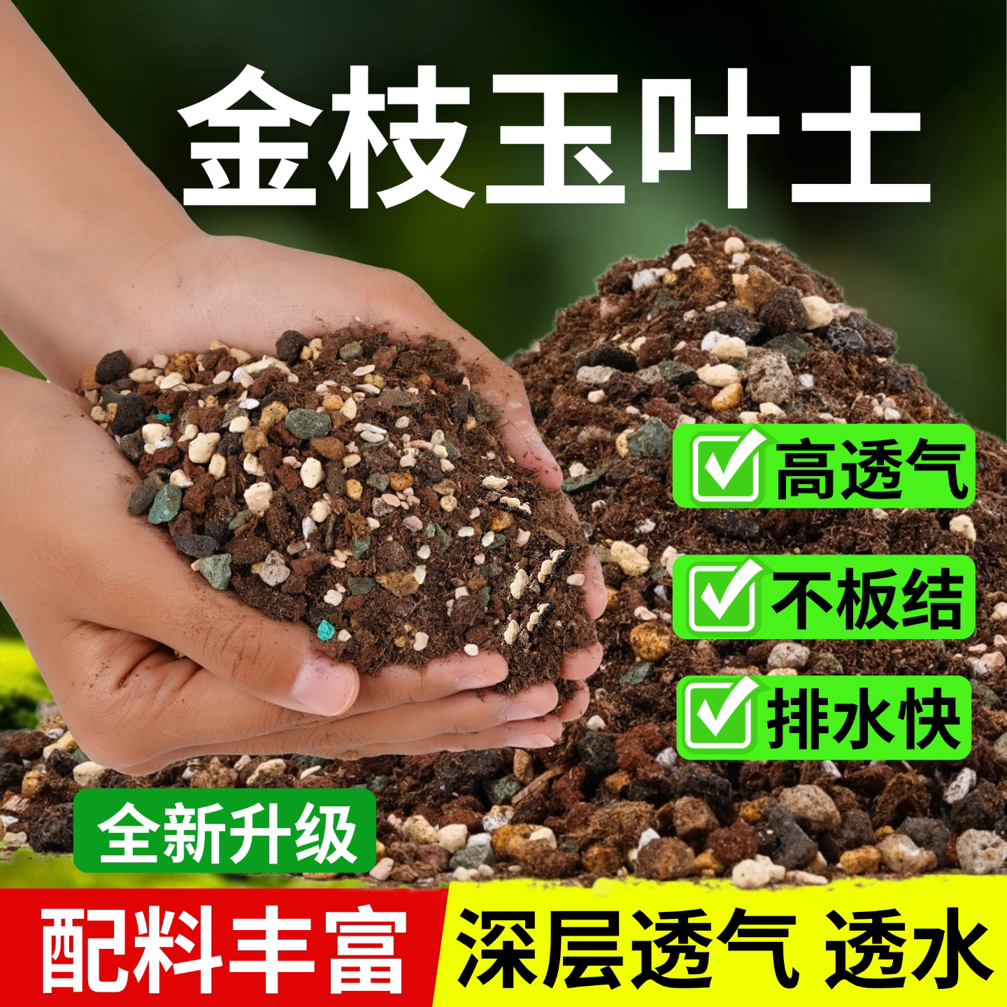 金枝玉叶专用土颗粒土盆栽营养土金钱木景天树马齿苋不积水排水快图片