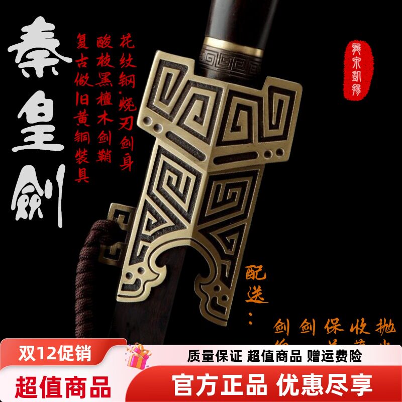 龙泉工艺品剑铜装秦皇剑花纹钢汉剑唐剑宝剑入门款硬剑  未开刃