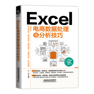 Excel电商数据处理与分析技巧 电商运营书籍 电商数据分析 数据化管理教程Excel在店铺管控商品管理用户画像及风险防范中的应用