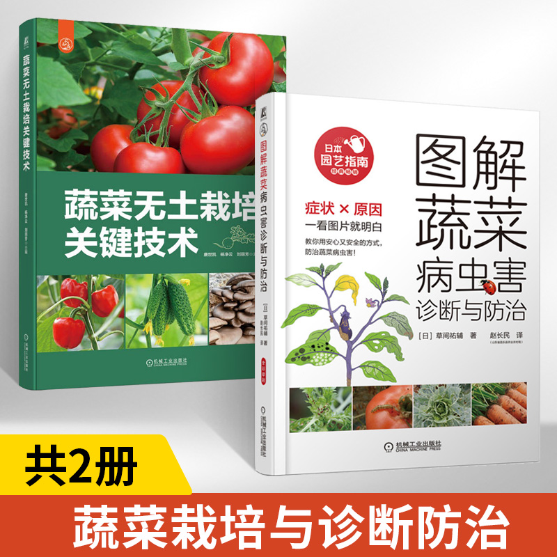 蔬菜无土栽培关键技术