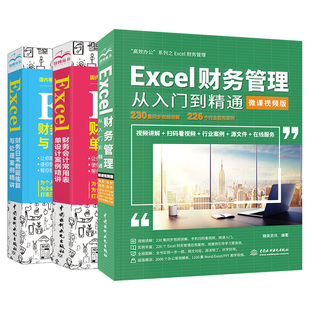 Excel财务管理财务会计报表日常数据核算与处理案例精讲3册 大全计算机教程书籍自学全套办公软件书电脑wps表格制作office 函数公式