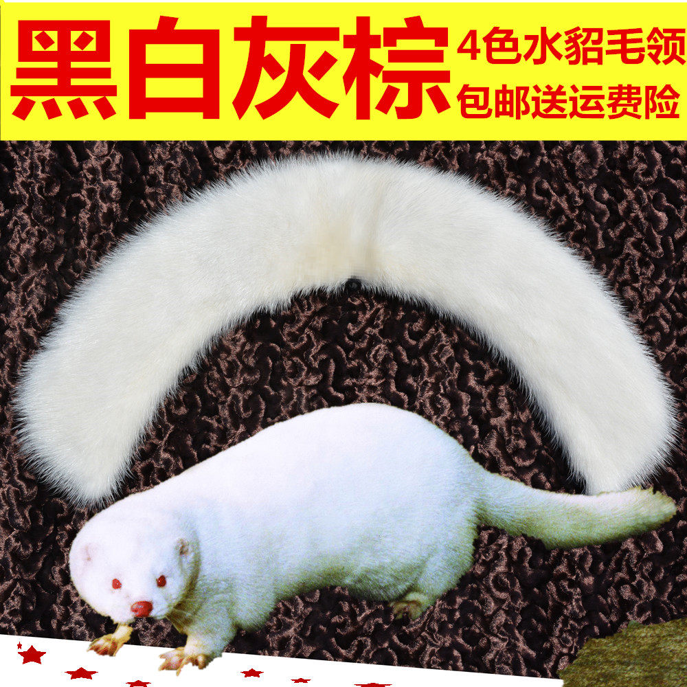 冬季保暖真水貂毛小圆领子