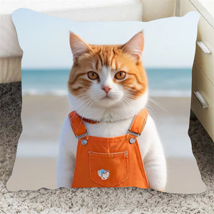 diy发照片定制宠物抱枕猫咪狗狗图片定做靠垫枕头玩偶娃娃送礼物