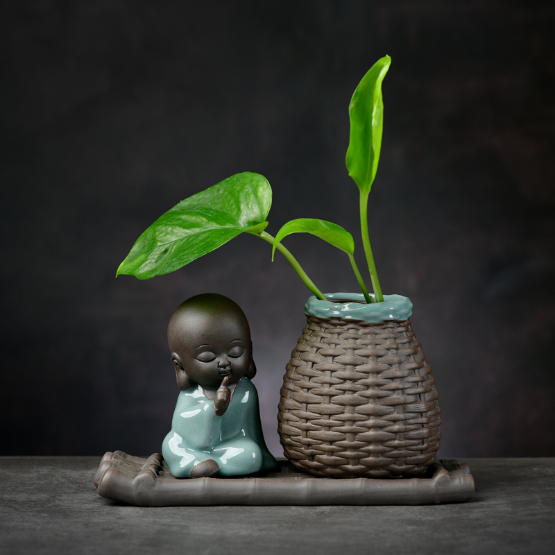 绿萝水培花瓶水养植物器皿鲜花