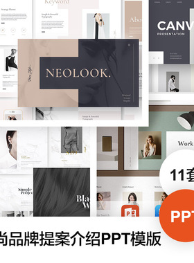 高级品牌提案公司项目宣传画册团队介绍产品发布时尚简约PPT模板