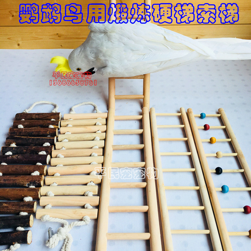 鸟木梯 鸟类木楼梯 鹦鹉宠物爬梯 鸟玩具 实木梯子木站杠棉绳索梯