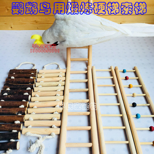 爬梯平民宠宠物站杠棉绳索梯鹦鹉