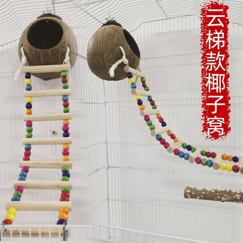 椰子壳鸟窝加长梯子虎皮牡丹鹦鹉用品珍珠文鸟小窝宠物云梯椰壳窝,宠物/宠物食品及用品,鸟窝,淘宝优惠券,粉丝福利购,淘宝优惠卷