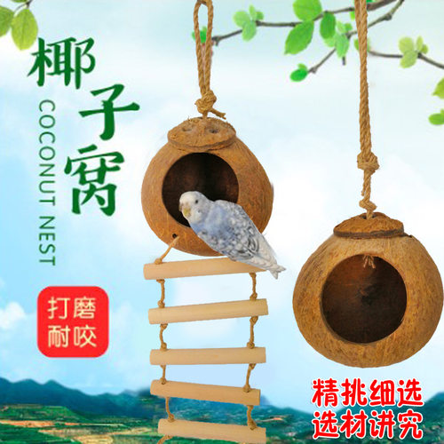 鸟房子虎皮珍珠椰壳鹦鹉窝大