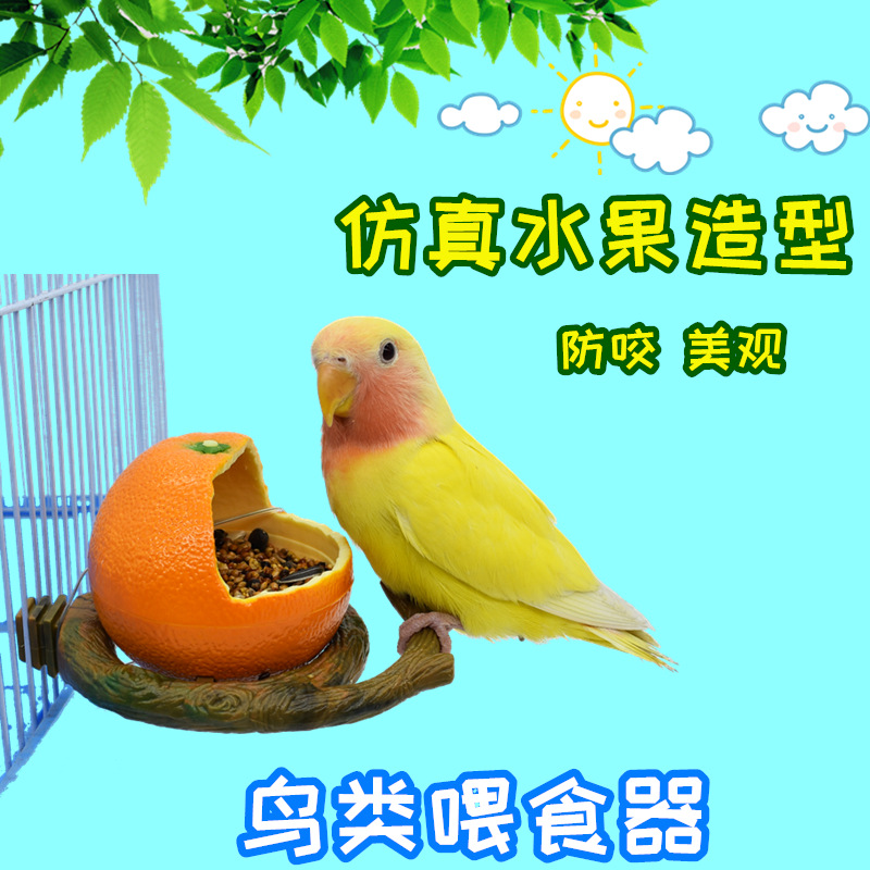 鹦鹉食盒防撒塑料虎皮牡丹