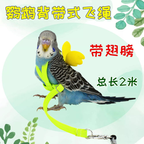 鹦鹉放飞背带翅膀牵引绳弹性虎皮