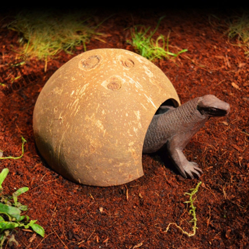 椰壳躲避洞穴寄居蟹乌龟水龟蜥蜴蜘蛛守宫蜈蚣蛇蟒躲避屋,宠物/宠物食品及用品,爬宠缸/箱,淘宝优惠券,粉丝福利购,淘宝优惠卷