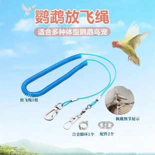 鹦鹉放飞防咬外出遛鸟绳八哥乌鸦玄凤虎皮牡丹训练飞行脚链脚环