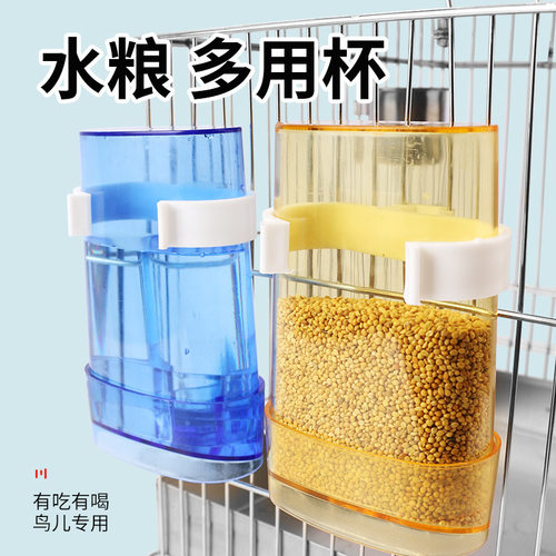 八哥鸟用自动饮水器喂食鹦鹉