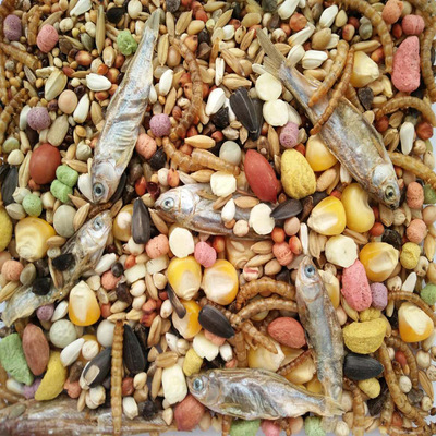 散装面包虫主粮饲料仓鼠粮