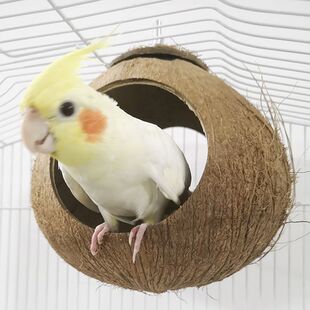 玄凤鸟窝中小型专用窝椰子壳鸟窝鸟巢特大号鸡尾鹦鹉小鸟窝对孔窝