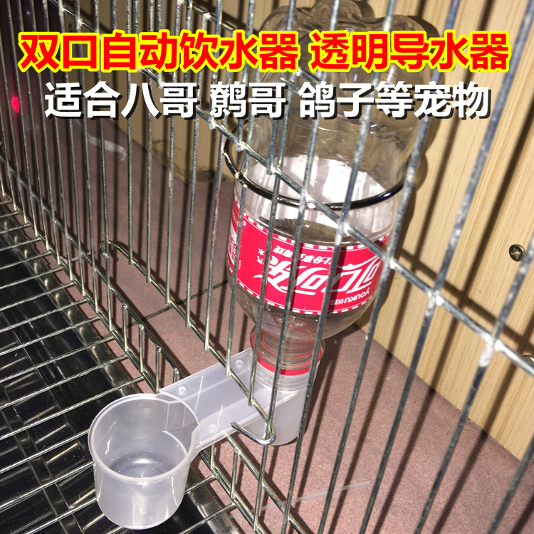 双口喝水导水器 鸡鸟宠鹦鹉八哥鹩哥自动饮水 信肉鸽子笼配件用品 宠物/宠物食品及用品 鸟禽喂食器/喂水器 原图主图