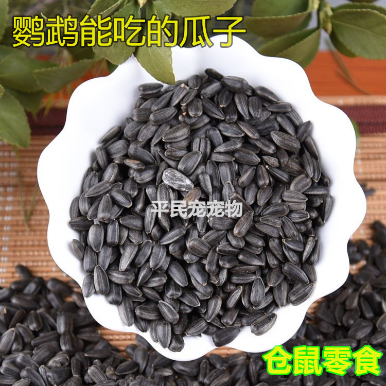 鸟粮黑珍珠瓜子 小颗粒黑瓜子 鹦鹉鸟食生瓜子 宠物仓鼠零食100克,宠物/宠物食品及用品,鸟食,淘宝优惠券,粉丝福利购,淘宝优惠卷