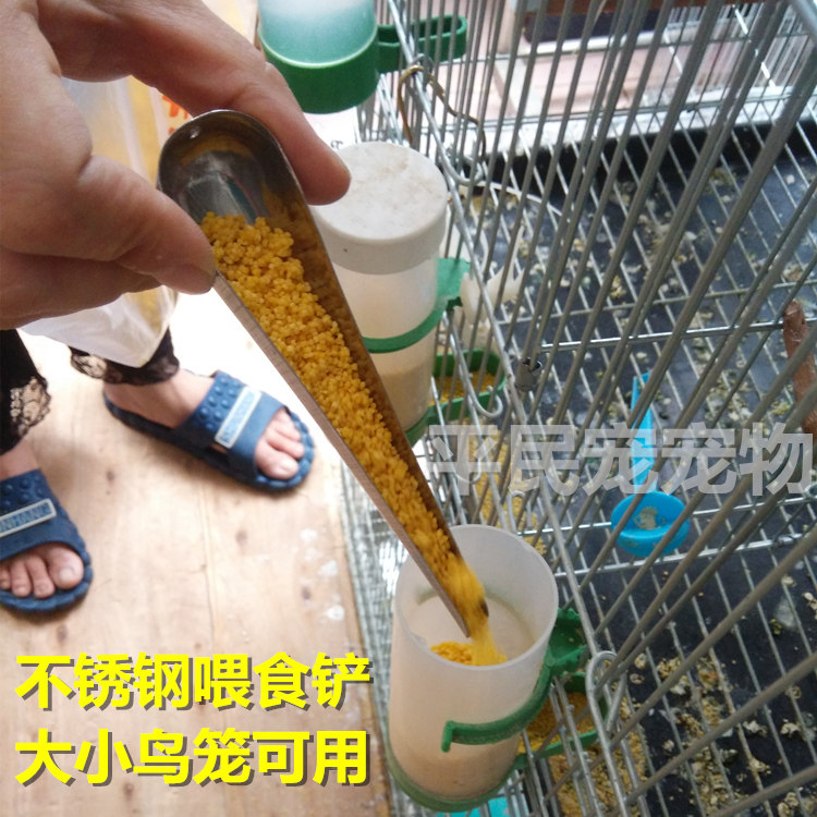 鹦鹉鸟用具加食器不锈钢加食勺铲画眉鸟类用品画眉鸟笼百灵绣眼笼