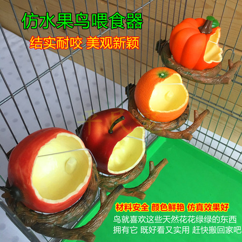 鹦鹉平民宠食槽鸟食杯喂食