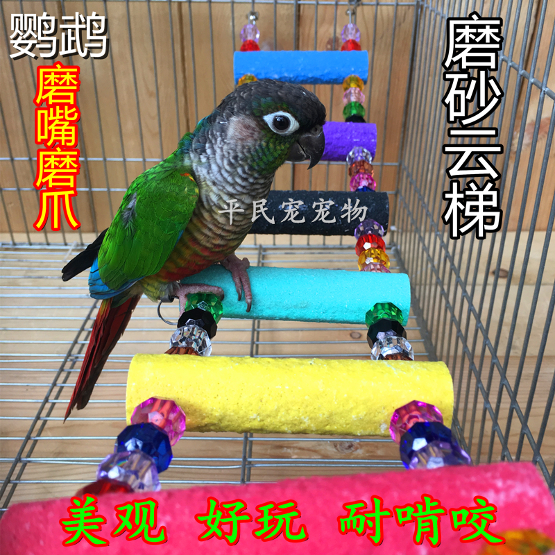 鸟用磨砂大型鹦鹉鸟用磨爪灰鹦鹉玄凤攀爬梯云梯玩具鸟笼站架站杠