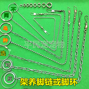 鹦鹉脚环脚链 不锈钢鸟链子喜鹊八哥伯劳鸽子玄凤套装站架 鸟用品