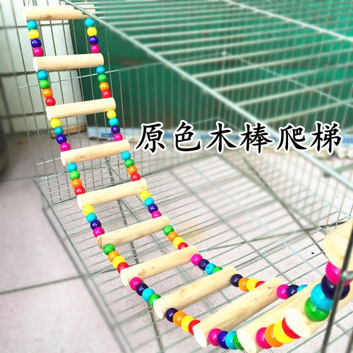 鸟玩具鸟爬梯训练鸟攀爬