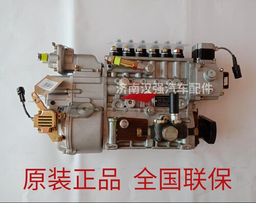 中国重汽EGR两气门发动机高压油泵喷油泵大泵总成 VG1096080130