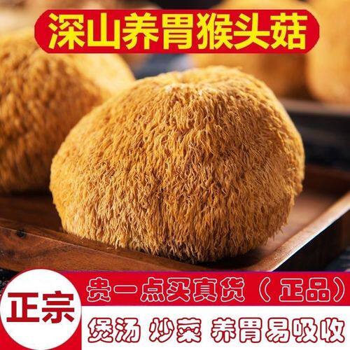古田特产猴头菇干货特产新货健康