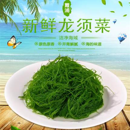 盐渍龙须菜500g新鲜海发菜食用海野菜袋装凉拌菜海藻沙拉火锅食材