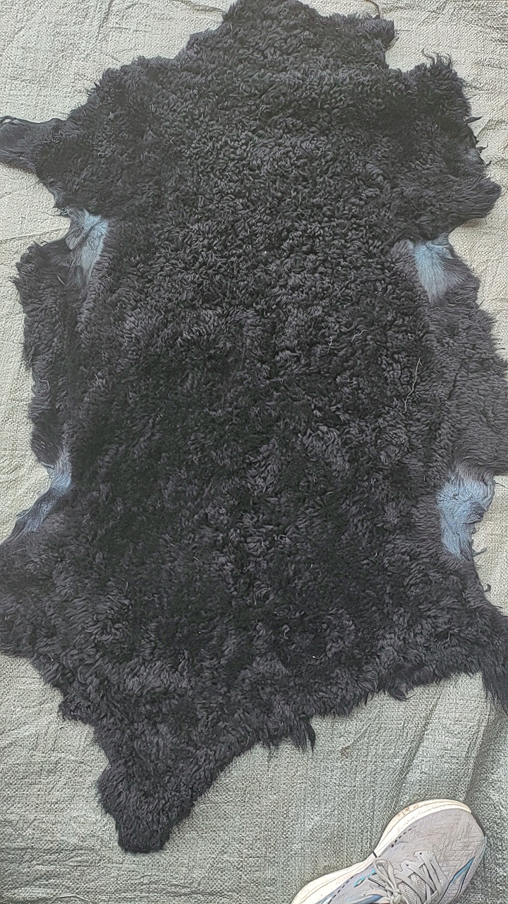 皮毛一体真皮真毛整张羊皮自然皮形纯羊毛芭莎皮黑色皮毯子皮坐垫