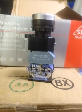 SLAN LAY39 SLA9B-LAY37SLA7-11DZS带灯按钮开关自锁带锁12V24V22
