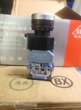 SLAN LAY39 SLA9B-LAY37SLA7-11DZS带灯按钮开关自锁带锁12V24V22