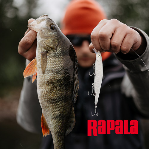 乐伯乐进口路亚饵鲈鱼翘嘴鳡鱼