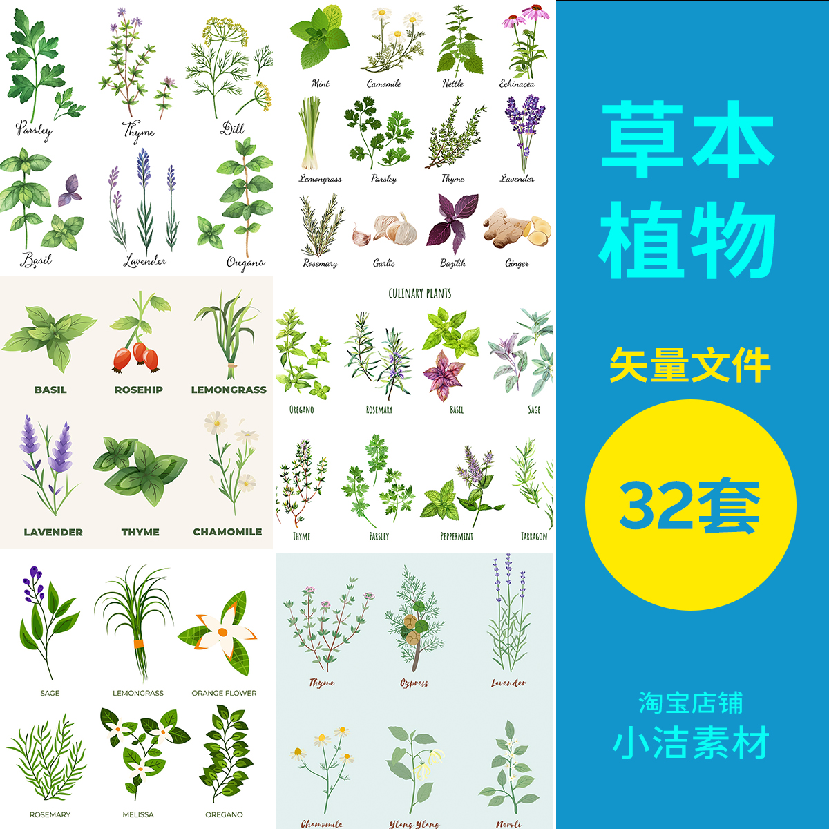 草本植物AI矢量素材手绘中草药植物插画设计元素自然风植物花卉