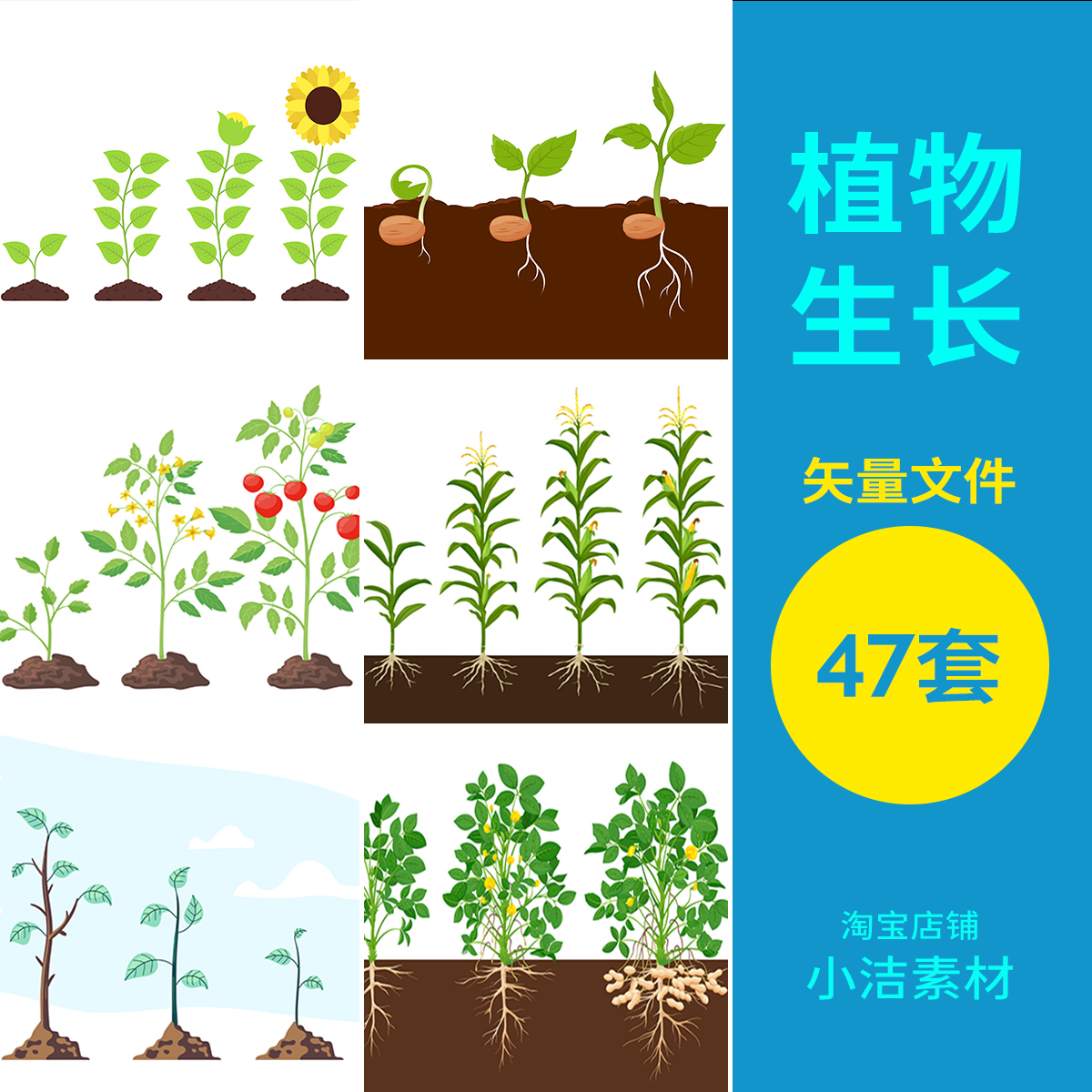 ai格式矢量素材卡通植物生长变化玉米辣椒西红柿种子豆芽长大插画
