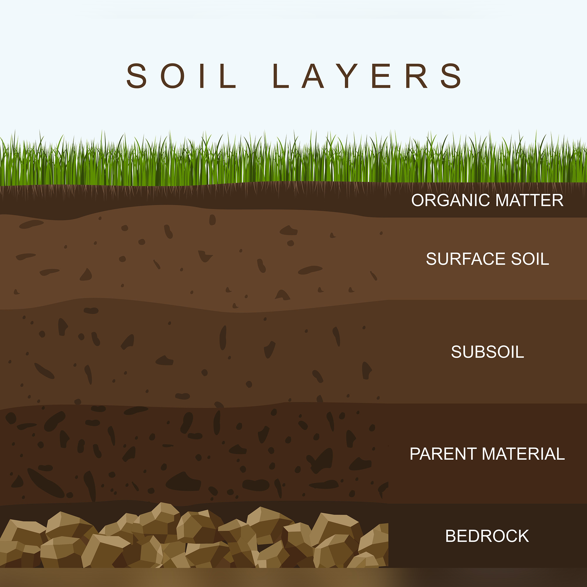 ai格式矢量素材土壤层图解地球结构草地石头地面地质信息图表插画