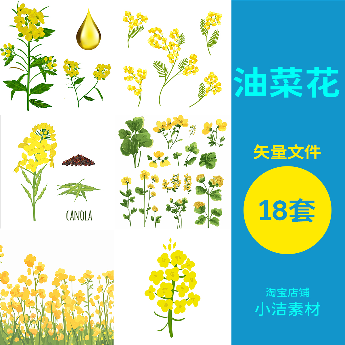 春天手绘油菜花植物花卉花枝花蕊插画元素图片AI矢量设计素材