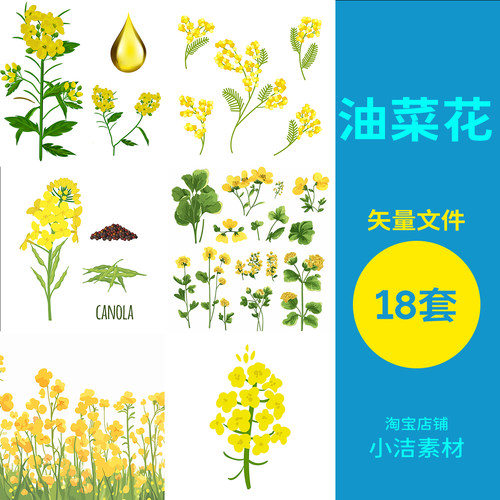 春天手绘油菜花植物花卉花枝花蕊插画元素图片AI矢量设计素材