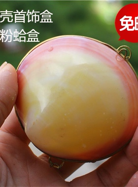海螺贝壳天然珊瑚扇贝