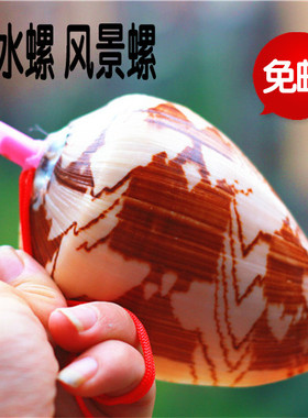 包邮海螺贝壳能吹响的小螺号山水螺风景螺口哨 儿童海边玩具礼品
