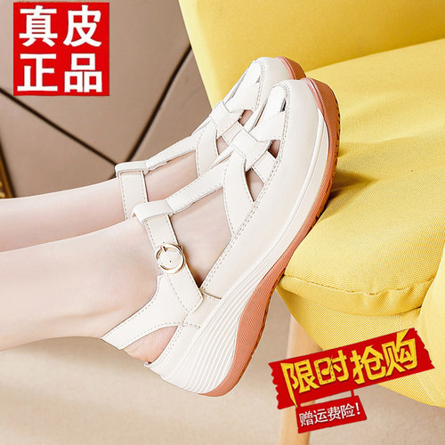 【官方品质/单品直降】