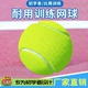 品牌高弹力带绳网球比赛练习训练球初学者通用新手专用球自动回弹