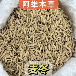 「阿雄尝百草」川麦冬 四川绵阳道地正宗无硫饱满