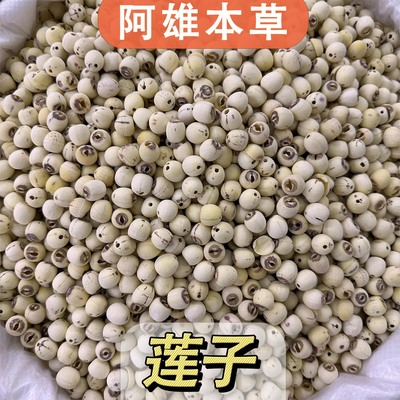 「阿雄尝百草」 莲子 磨皮湘莲  手工建莲