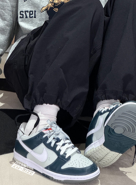 向往体育Nike/耐克Dunk 白绿低帮经典复古休闲板鞋FB9109-300